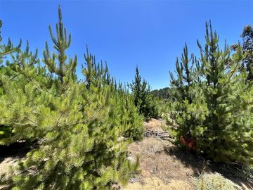 Sitio en Venta en Loteo Fundo Boyeruca