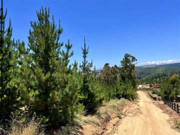 Sitio en Venta en Loteo Fundo Boyeruca