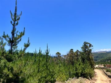 Sitio en Venta en Loteo Fundo Boyeruca