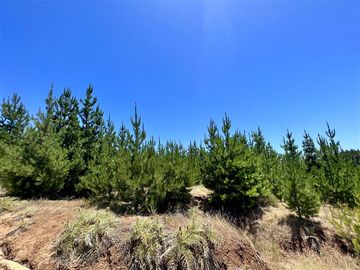 Sitio en Venta en Loteo Fundo Boyeruca
