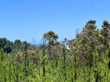 Sitio en Venta en Loteo Fundo Boyeruca