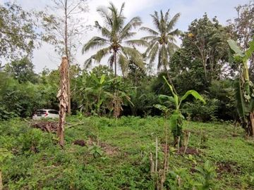 Tanah Sleman Utara MURMER Dekat Balai Desa Bangunkerto
