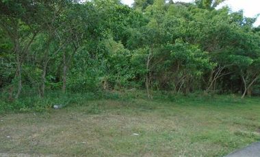 181 Sqm Most Affordable Lot Sale near Talamban Cebu City with Mountain View