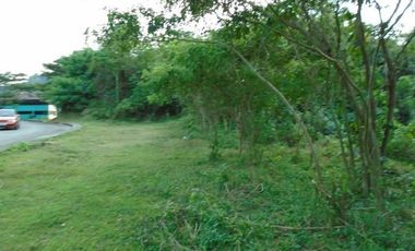 181 Sqm Most Affordable Lot Sale near Talamban Cebu City with Mountain View