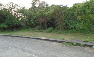 181 Sqm Most Affordable Lot Sale near Talamban Cebu City with Mountain View