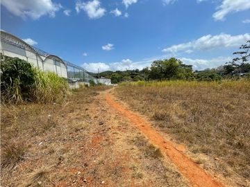!!!Se Vende Terreno en Altos De Tocumen $ 560k¡¡¡