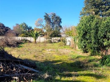 Sitio en Venta en Curicó (37688)