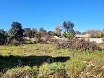 Sitio en Venta en Curicó (37688)