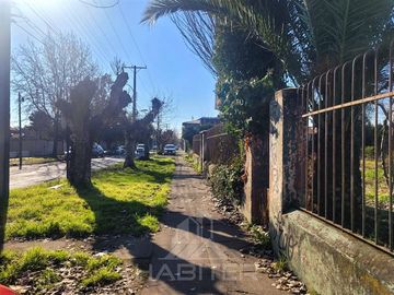 Sitio en Venta en Curicó (37688)