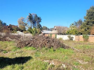 Sitio en Venta en Curicó (37688)