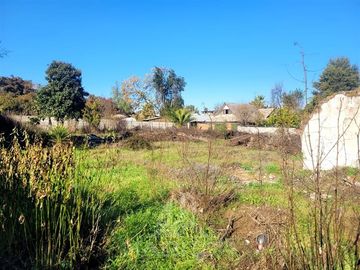 Sitio en Venta en Curicó (37688)