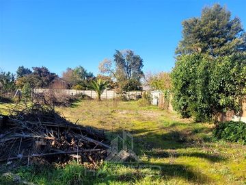 Sitio en Venta en Curicó (37688)