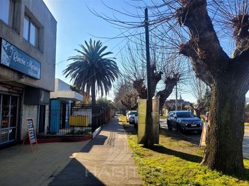 Sitio en Venta en Curicó (37688)