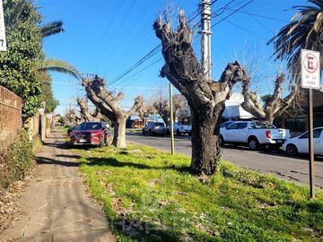 Sitio en Venta en Curicó (37688)