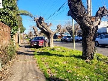 Sitio en Venta en Curicó (37688)