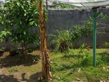 House in Monjok housing complex