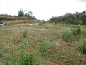 CAINTA GREENLAND COMMERCIAL and RESIDENTIAL LOT FOR SALE