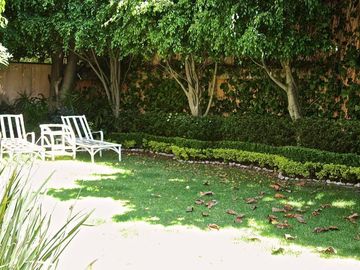 Av. de las Fuentes - Jardines del Pedregal