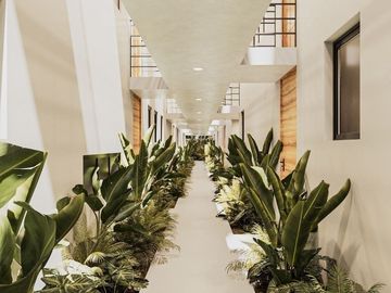 Departamentos(Loft B) en Venta en Malta en Temozón Norte