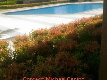Resort Condo For Sale Aqua Mira Condotel