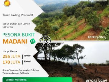Tanah Kavling Murah dalam Perkebunan Terpadu di Bogor
