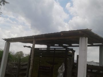 Venta Rancho ganadero  en panaba yalsihon  de 108 has (dzilam gonzalez) yucatan