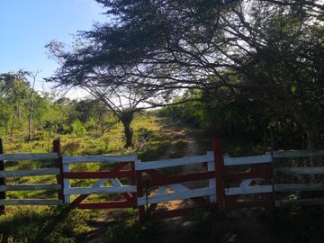 Venta Rancho ganadero  en panaba yalsihon  de 108 has (dzilam gonzalez) yucatan