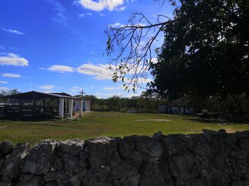 Venta Rancho ganadero  en panaba yalsihon  de 108 has (dzilam gonzalez) yucatan