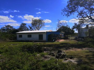 Venta Rancho ganadero  en panaba yalsihon  de 108 has (dzilam gonzalez) yucatan