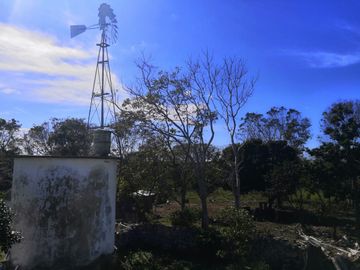 Venta Rancho ganadero  en panaba yalsihon  de 108 has (dzilam gonzalez) yucatan