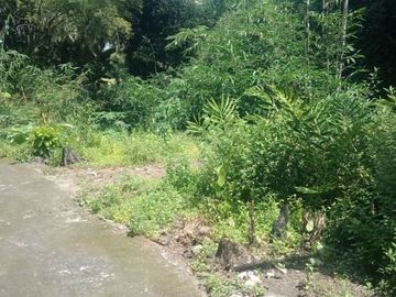 Tanah Pekarangan Dijual Lokasi di Seyegan Barat Polsek