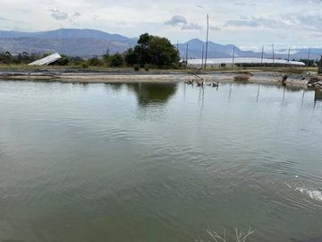 VENDO HERMOSA FINCA DE 8.3  HAS SECTOR IGUIÑARO CERCA A CHECA
