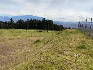 VENDO HERMOSA FINCA DE 8.3  HAS SECTOR IGUIÑARO CERCA A CHECA
