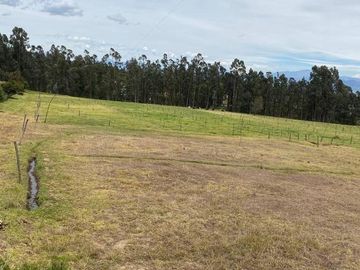 VENDO HERMOSA FINCA DE 8.3  HAS SECTOR IGUIÑARO CERCA A CHECA