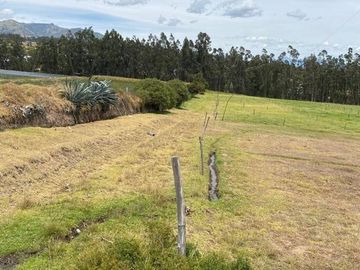 VENDO HERMOSA FINCA DE 8.3  HAS SECTOR IGUIÑARO CERCA A CHECA