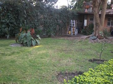 Excelente propiedad en Jiutepec se vende como terreno