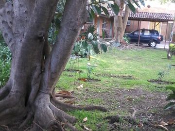 Excelente propiedad en Jiutepec se vende como terreno