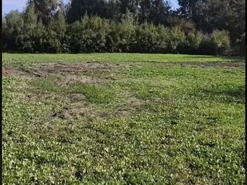 Sitio en condominio valle ecuestre en venta en Lampa
