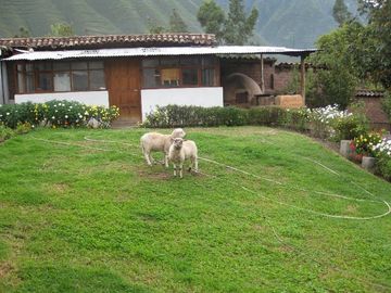 Terrenos Comerciales Venta CAL. Quinta Mercedes - CUSCO