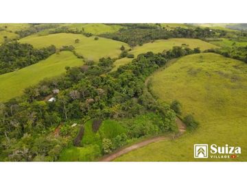 Proyecto Residencial - Lotes desde 500 m2 en venta - Lamas - Zapatero