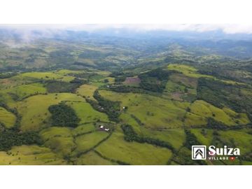 Proyecto Residencial - Lotes desde 500 m2 en venta - Lamas - Zapatero