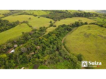 Proyecto Residencial - Lotes desde 500 m2 en venta - Lamas - Zapatero