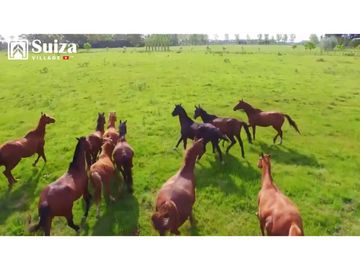 Proyecto Residencial - Lotes desde 500 m2 en venta - Lamas - Zapatero
