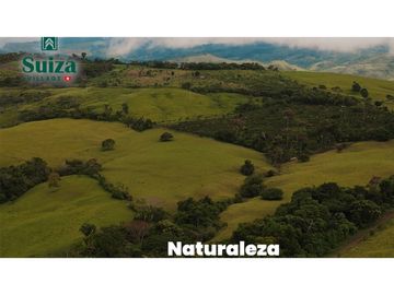 Proyecto Residencial - Lotes desde 500 m2 en venta - Lamas - Zapatero