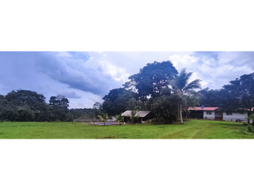 Se Vende Finca Titulada de 8.4 HAS en el Oeste