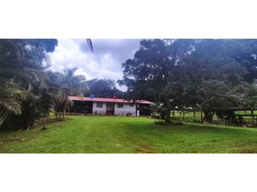 Se Vende Finca Titulada de 8.4 HAS en el Oeste