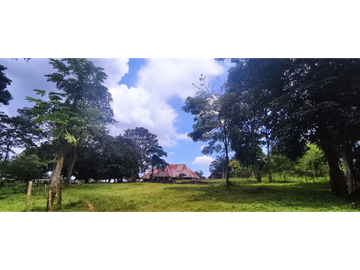 Se Vende Finca Titulada de 8.4 HAS en el Oeste