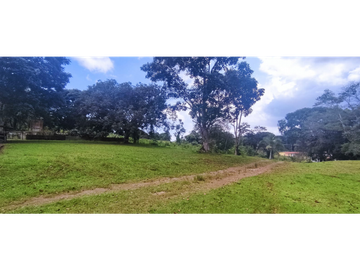 Se Vende Finca Titulada de 8.4 HAS en el Oeste