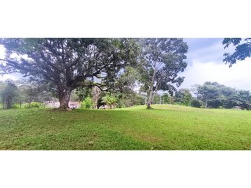 Se Vende Finca Titulada de 8.4 HAS en el Oeste