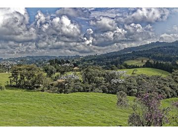 Se Vende Finca Titulada de 8.4 HAS en el Oeste